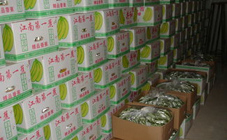 100平方米水果冷庫(kù)造價(jià)要多少錢？